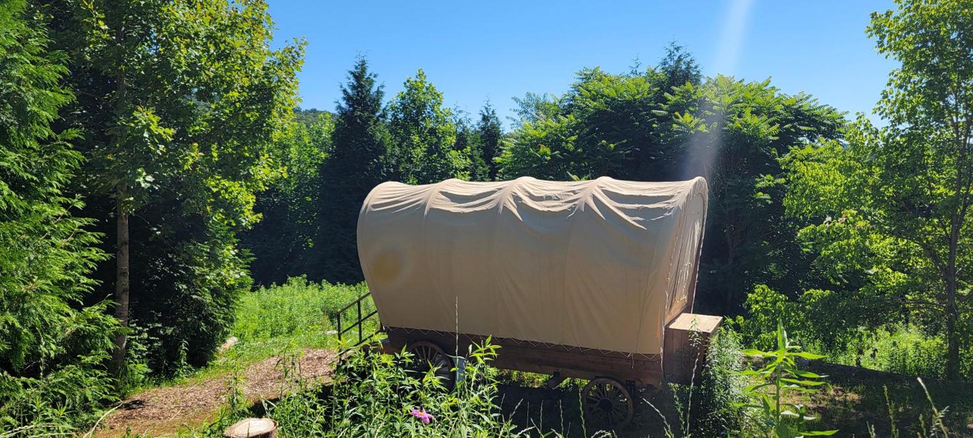 Covered Wagons Hill Camp - Wagon 4 勒诺 外观 照片